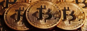 Crypto Chronicle
